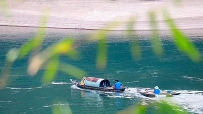 Neo lại quê nhà