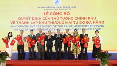 8 nhà đầu tư chiến lược cam kết đầu tư vào Khu Thương mại tự do Đà Nẵng