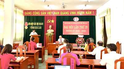 Trong nhiệm kỳ chủ động mời chuyên gia tham gia vào các hoạt động