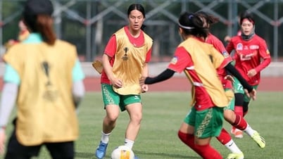 NAMMI NGUYEN entretient une relation avec le football VIETNAMIEN