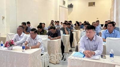 協同組合を適切に、より良く運営するために