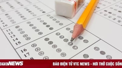 6 lưu ý quan trọng tránh điểm liệt bài thi trắc nghiệm tốt nghiệp THPT 2025 