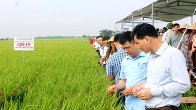 高品質の植物および動物の品種の開発