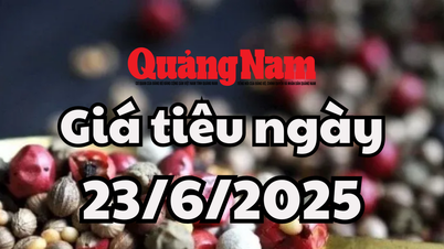 តម្លៃម្រេចថ្ងៃនេះ ថ្ងៃទី 23 ខែមិថុនា ឆ្នាំ 2025 125,000 ដុង/គីឡូក្រាម នៅតែខ្ពស់បំផុត