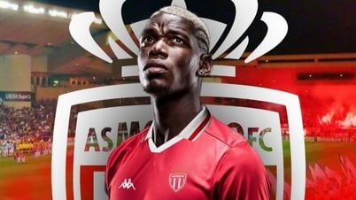 Pogba មិននឹកស្មានដល់មានក្លឹបថ្មីលេងនៅ Champions League នៅរដូវកាលក្រោយ