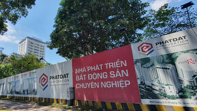 Phat Dat ចង់​លក់​ក្រុមហ៊ុន​បុត្រសម្ព័ន្ធ​រាប់​ពាន់​លាន​ដុល្លារ​របស់​ខ្លួន​នៅ Binh Dinh