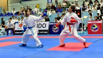 Trên 570 võ sĩ tranh tài tại Giải karate thiếu niên, nhi đồng năm 2025