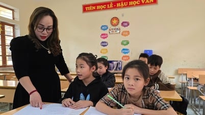 Zusätzliche Klassen in Schulen, jede Klasse darf nicht mehr als 45 Schüler umfassen