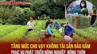 Tăng mức cho vay không tài sản bảo đảm phục vụ phát triển nông nghiệp, nông thôn