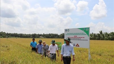 ហិរញ្ញវត្ថុបៃតងសម្រាប់គោលដៅសូន្យសុទ្ធ - ផ្នែកទី 1៖ ការឈានមុខប្រភពហិរញ្ញវត្ថុ