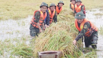 Солидарность между армией и народом