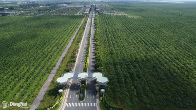 Dong Nai schlägt der Regierung vor, den von der Kautschukindustrie zurückgewonnenen Landfonds für die Projektumsetzung zu verwenden.