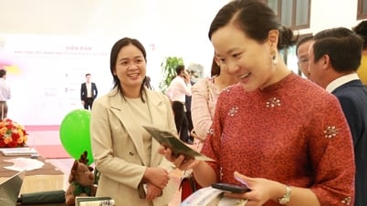 US businesses seek new investment opportunities in Central Vietnam