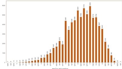 Điểm thi lớp 10 của TP.HCM: Môn ngữ văn có 2 thí sinh đạt 9,5 điểm