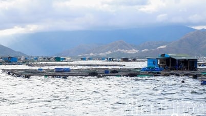 Vạn Ninh: Tập trung xử lý tình trạng nuôi trồng thủy sản không đúng quy định