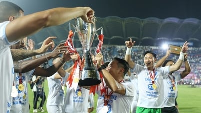 Quy Nhơn Bình Định rời giải V.League