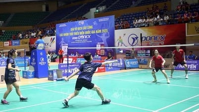 Более 650 спортсменов соревнуются в национальных чемпионатах по бадминтону среди юниоров