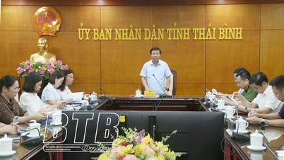 ចំណូល​ក្នុង​ស្រុក​ក្នុង​រយៈពេល​៦​ខែ​ដើម​ឆ្នាំ​ត្រូវ​ប៉ាន់​ប្រមាណ​៨.៤០០​ពាន់​លាន​ដុង កើនឡើង​១០៤,៨%