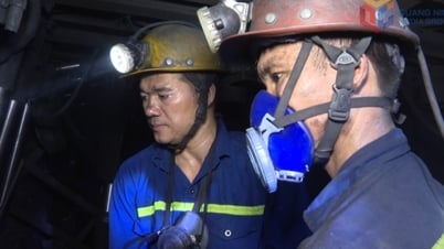 Движение патриотического соревнования в акционерной компании Vang Danh Coal
