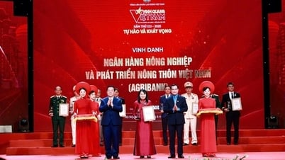 Khẳng định vị thế trụ cột trong sự nghiệp phát triển “Tam nông”
