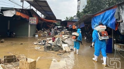 Preventing epidemics after floods: Responsibility of the whole community