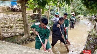 การบริหารจัดการระบบชลประทานอย่างมีประสิทธิภาพ