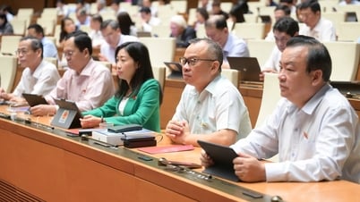 Dù có cơ chế miễn trách nhiệm, cán bộ xử lý việc phức tạp, nhạy cảm vẫn lo lắng