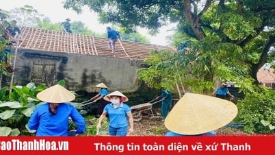 Phụ nữ xã Vĩnh Hưng chung tay xây dựng nông thôn mới