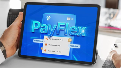 VIB launches PayFlex developed on VFC technology for Visa cardholders