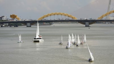 Seltsamer Anblick in Da Nang: 15 Segelboote schmücken den Han-Fluss