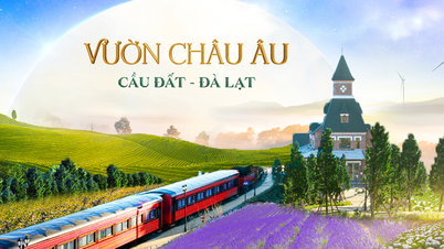 Vườn Châu Âu ở Đà Lạt – “Điểm sống ảo mới” khiến giới trẻ mê mẩn hè 2025