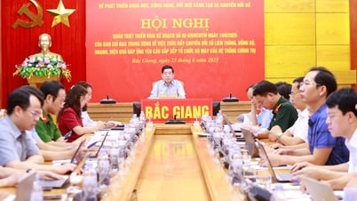 Thúc đẩy chuyển đổi số đáp ứng yêu cầu sắp xếp tổ chức bộ máy