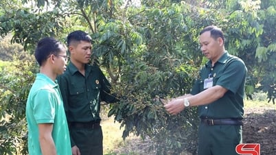 Ветераны помогают друг другу вести бизнес