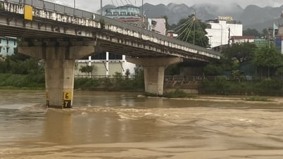Réagir de manière proactive aux fortes pluies, aux risques d'inondations, aux crues soudaines et aux glissements de terrain - Cao Bang Electronic Newspaper