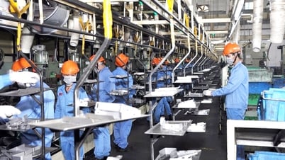 Doanh nghiệp tư nhân Vĩnh Phúc vững vàng hội nhập