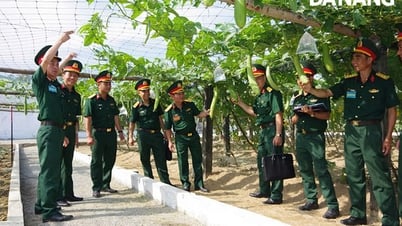 ការបង្កើនផលិតកម្មនៅក្នុងកងវរសេនាធំ 971