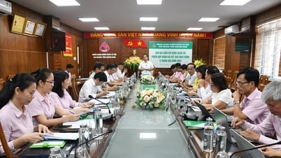 In 6 months, Quang Nam had 20,721 households receiving policy credit loans.