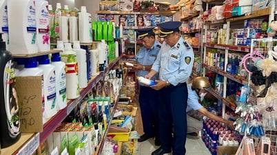 密輸、貿易詐欺、偽造品との戦いのピークの概要