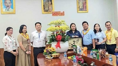 Bến Tre chuẩn bị điều kiện sẵn sang đón sóng đầu tư mới
