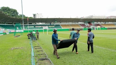 「ユニーク」なHAGL：プレイクスタジアムに針葉樹の芝が植えられ、ファンが集まって古い芝を持ち帰ろうとした！