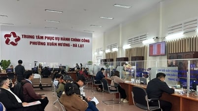 Sẵn sàng cho 124 xã, phường, đặc khu của tỉnh Lâm Đồng mới đi vào hoạt động