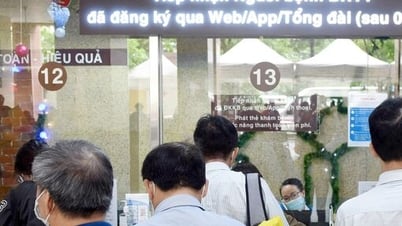 С 1 июля 20 группам населения предоставляются бесплатные карты медицинского страхования