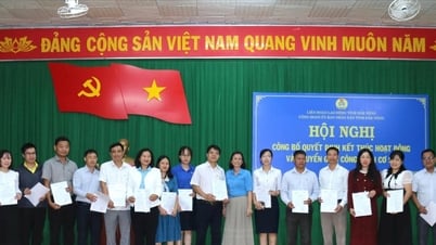 Transferencia de 22 sindicatos de base a la Federación Provincial del Trabajo de Dak Nong