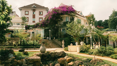 Guide touristique Madame De Dalat – Villa Tran Le Xuan : Une ancienne villa aux caractéristiques artistiques au cœur de Dalat