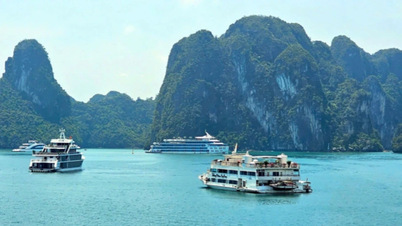 Preservando el patrimonio de la bahía de Ha Long