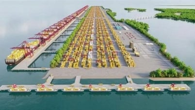 El primer ministro Pham Minh Chinh ordenó desplegar urgentemente el Puerto de Tránsito Internacional de Can Gio.