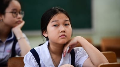 Công bố điểm chuẩn lớp 6 Trường Trần Đại Nghĩa