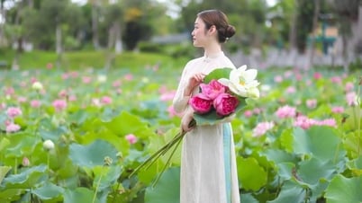 Top 4 trải nghiệm hè đáng thử tại Sun World Ha Long