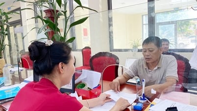 Район Лак Туй реализует административное деление