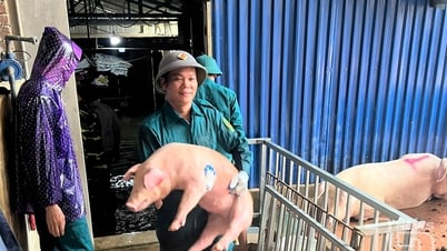 TP. Phổ Yên: Hỗ trợ người dân di dời tài sản khi nước sông Cầu dâng cao